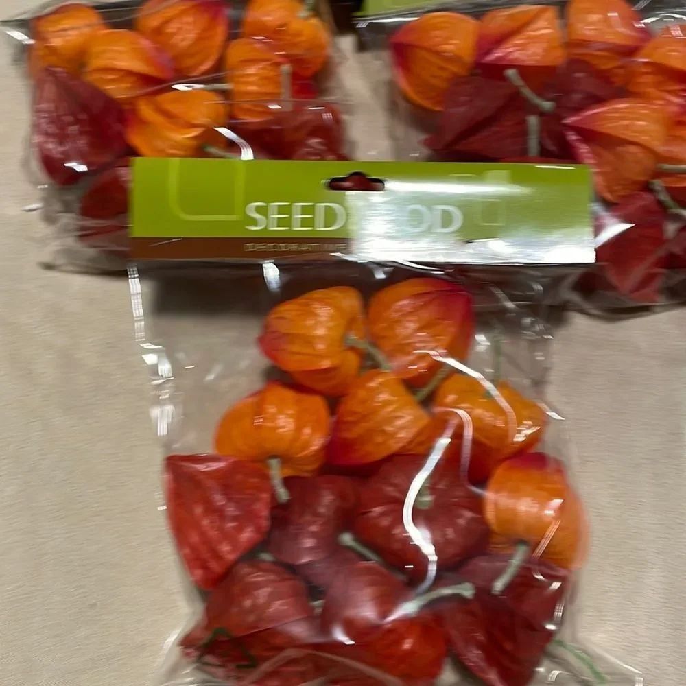 Seed & Pod